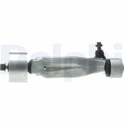 Delphi Control/Trailing Arm Lower