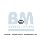 BM Catalysts Fitting Kit FK90248A FK90248A