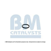 BM Catalysts Fitting Kit FK92960A FK92960A
