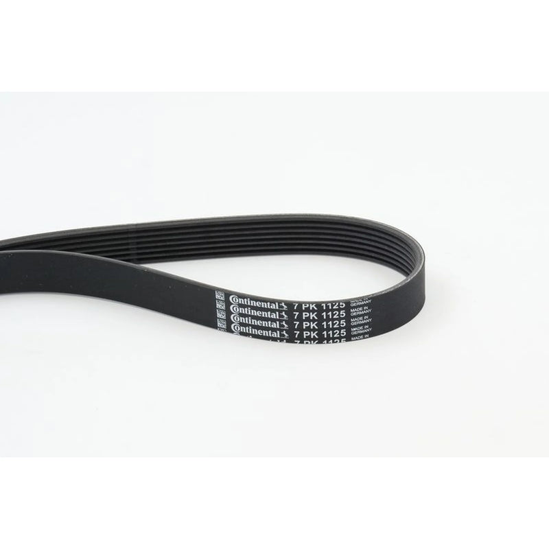 Continental CTAM Multi V-Ribbed Drive Belt fits Nissan Sylphy III 2013 on 1.6