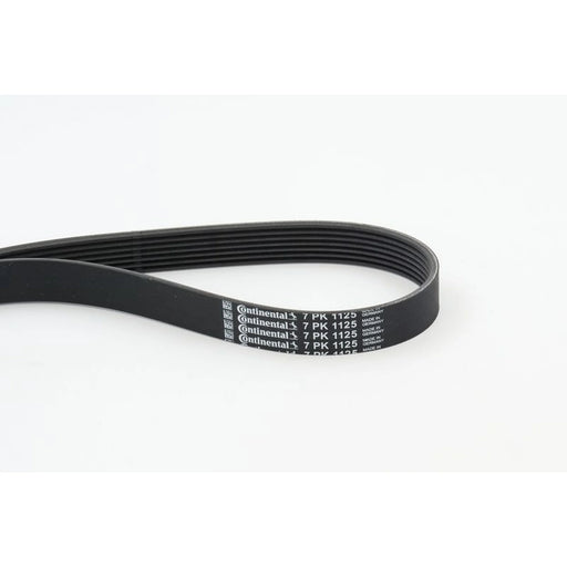 Continental CTAM Multi V-Ribbed Drive Belt fits Nissan Sylphy III 2013 on 1.6