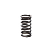 Bosch Compression Spring
