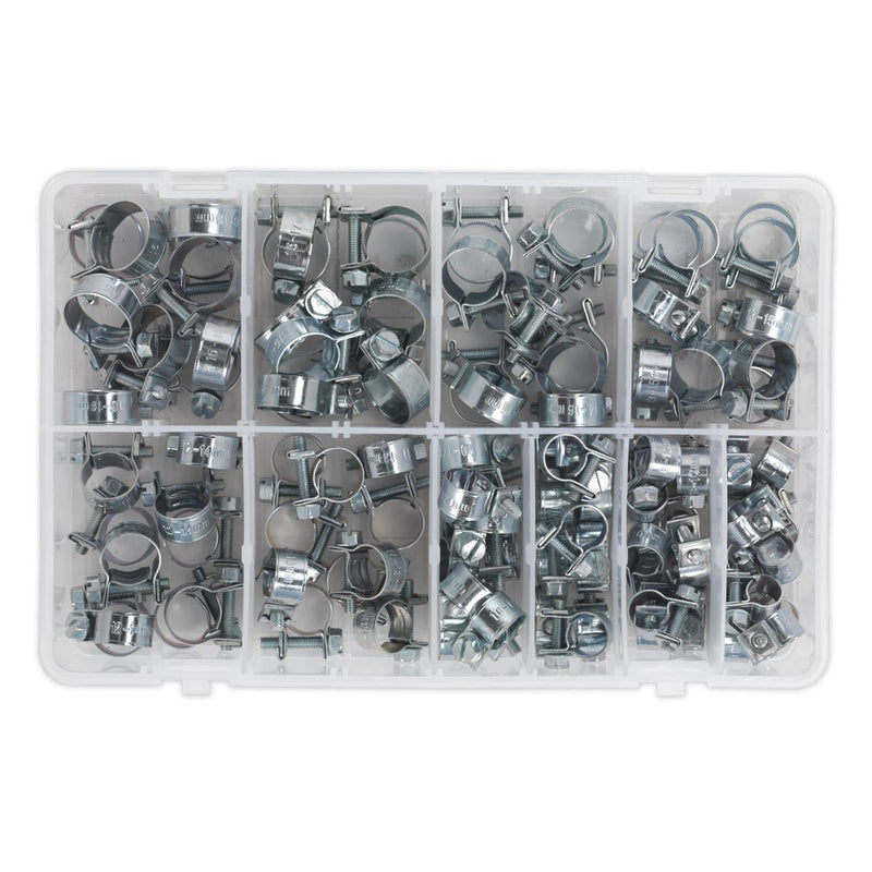 Sealey Mini Hose Clip Assortment 100pc AB042MH Sealey - Dynamic Drive