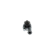 Bosch Fuel Pump Assembly