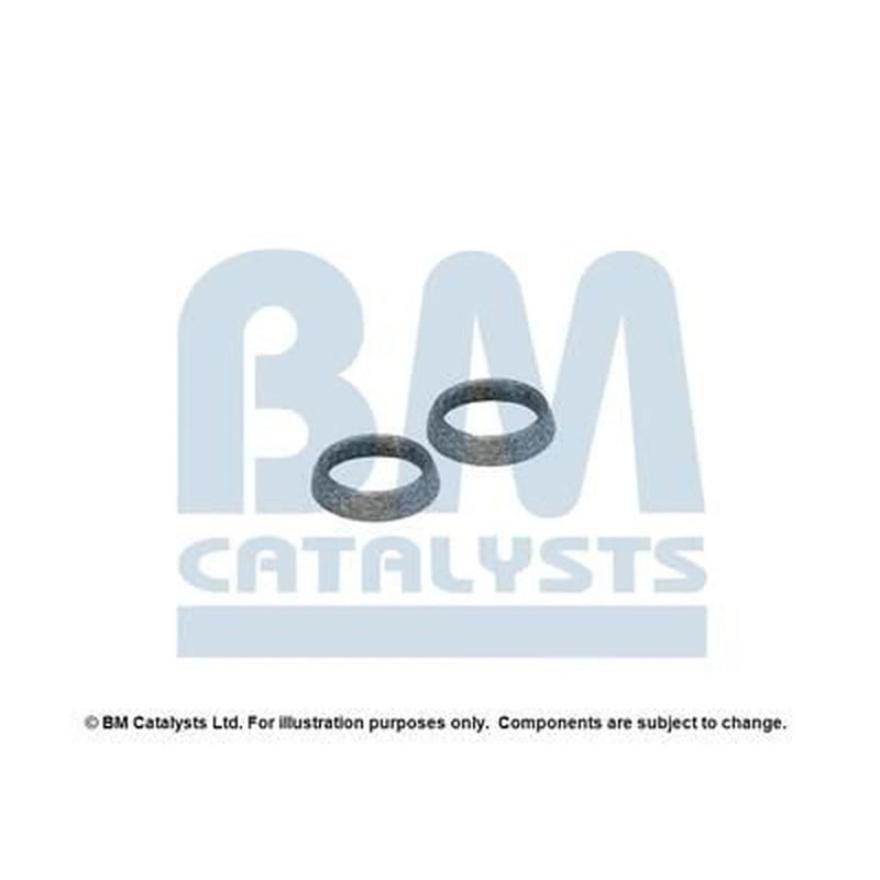 BM Catalysts Fitting Kit FK91986A FK91986A