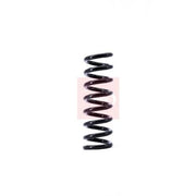 Apec Rear Suspension Coil Spring ACS1395