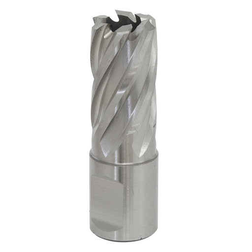 Sealey Rotabor Cutter HSS17mm Cut Depth 25mm RBHSS17S Sealey - Dynamic Drive