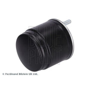 Blue Print Fuel Filter Element fits Kia Rio IV 2017 on 1.4