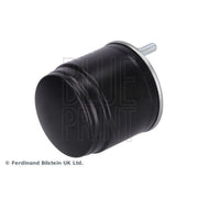 Blue Print Fuel Filter Element ADBP230057