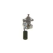 Bosch Fuel Pump Assembly