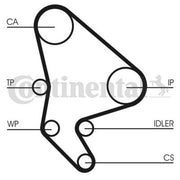 Continental CTAM Timing Belt Cambelt 141 Teeth fits Citroën Berlingo 1999-2005
