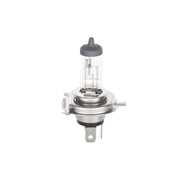 Bosch H4 / 12 V 60/55 W H4 Eco Plus 100 1 987 302 833