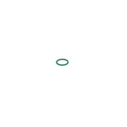 Bosch Rubber Seal Ring