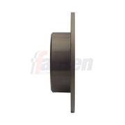 Fahren 2 x Solid Rear Brake Discs FBD6663-x2