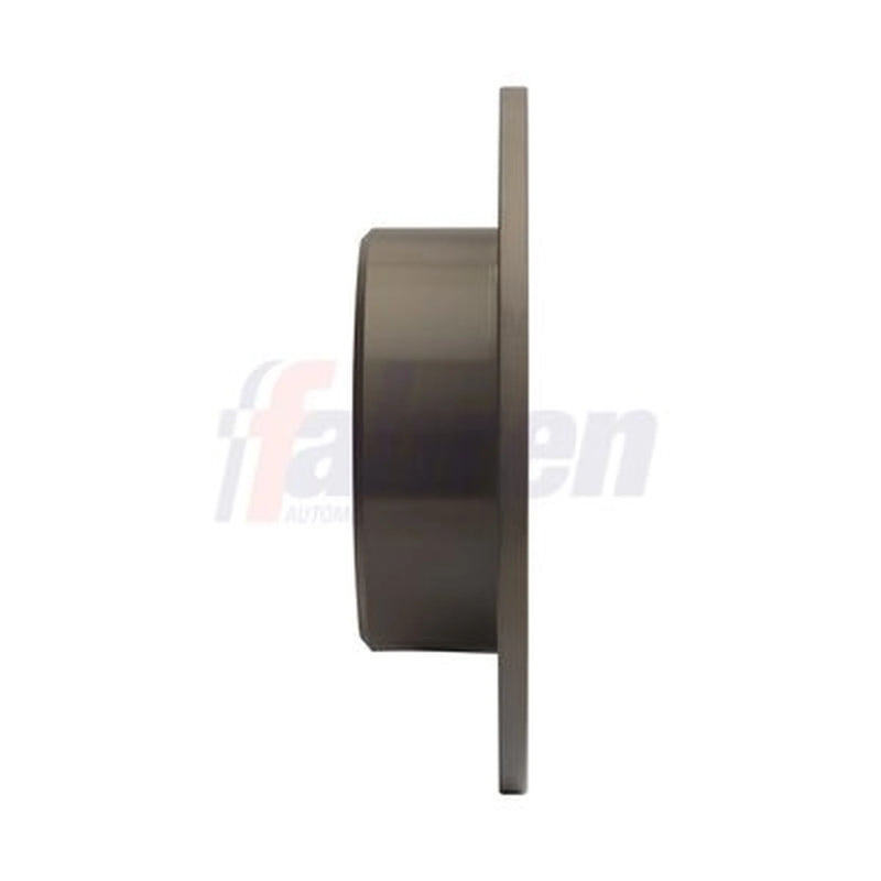 Fahren 2 x Solid Rear Brake Discs FBD6663-x2