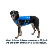 Ruffwear Trail Runner Dog Running Vest in Blue Pool (Medium) Ruffwear - Bars 4 Cars