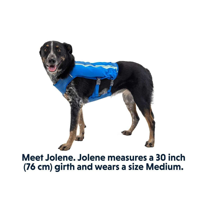 Ruffwear Trail Runner Dog Running Vest in Blue Pool (Medium) Ruffwear - Bars 4 Cars