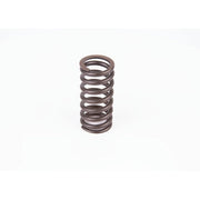 Bosch Compression Spring