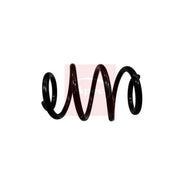 Apec Rear Suspension Coil Spring ACS1908