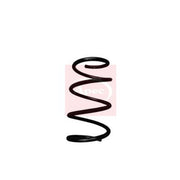 Apec Front Suspension Coil Spring fits BMW 5 2004-2010