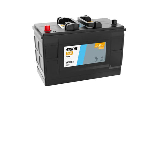 Exide Battery 12V 125Ah 850A EF1251
