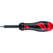 Teng Tools 1/4" Ratcheting Bits Driver Double End Bits Set Teng Tools - Dynamic Drive