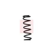 Apec 2 x Suspension Springs fits Lexus Is I 1999-2005