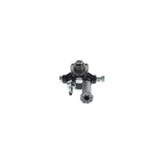 Bosch Fuel Pump Assembly