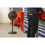 Sealey Desk & Pedestal Fan 12" 230V SFF12DP Sealey - Dynamic Drive