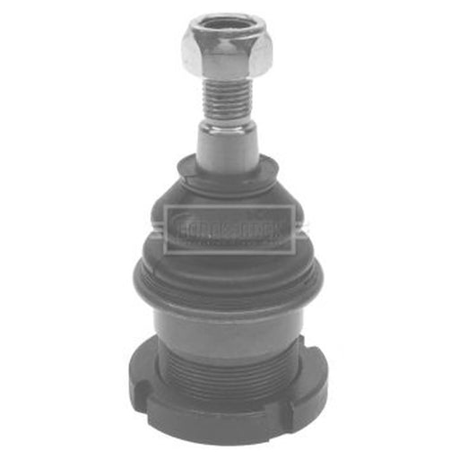 Borg & Beck Ball Joint Lower BBJ5449