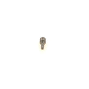 Bosch Fuel Injector Nozzle