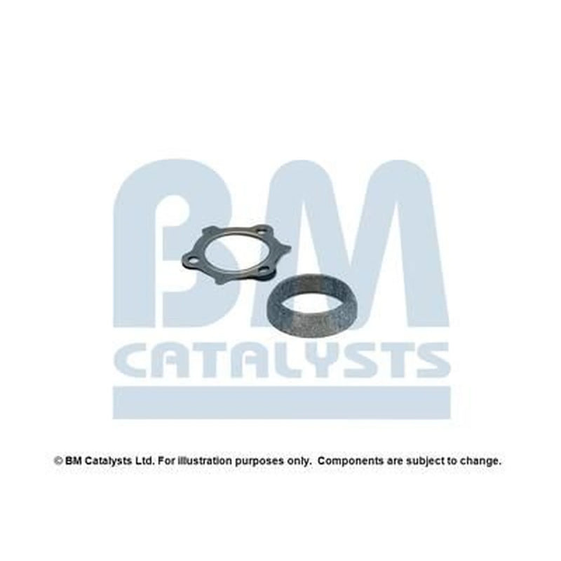 BM Catalysts Fitting Kit FK80464A FK80464A