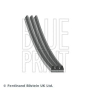 Blue Print Multi V-Ribbed Drive Belt AD03R848