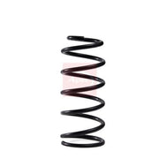 Apec Rear Suspension Coil Spring ACS2060