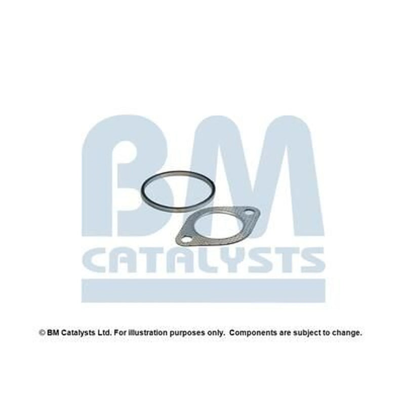BM Catalysts Fitting Kit FK92451A FK92451A