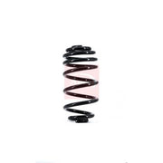 Apec Rear Suspension Coil Spring fits Opel Zafira Tourer C 2011-2019