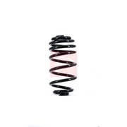 Apec Rear Suspension Coil Spring ACS1662