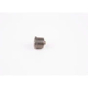 Bosch Engine Control Valve