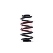 Apec Front Suspension Coil Spring fits Audi A4 B6 2000-2004 1.8 1.9 2.4 2.5 3.0