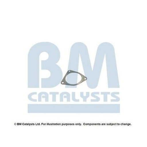 BM Catalysts Fitting Kit FK11511A FK11511A
