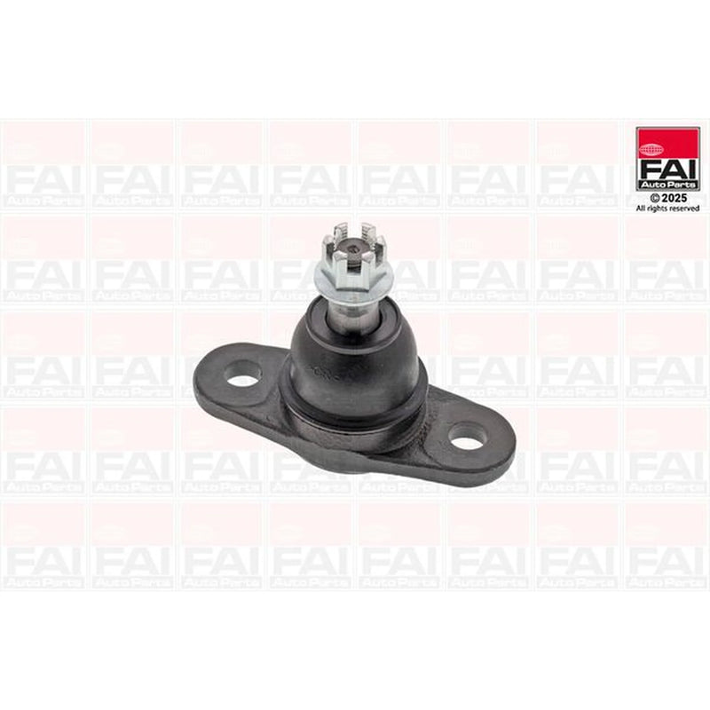 FAI 2 x Ball Joints