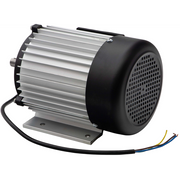 Sealey Motor