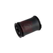 Apec Air Suspension Spring Top yoke Rear Right AAS1001