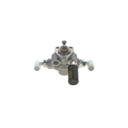 Bosch Fuel Pump Assembly
