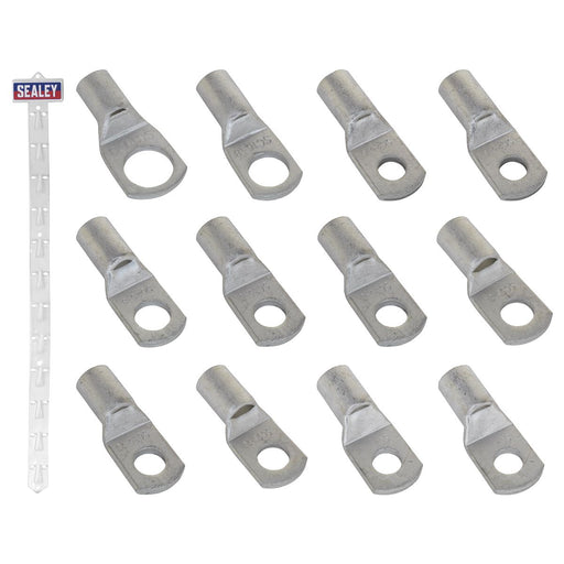 Sealey Clip Strip Deal - Copper Lug Terminals CLTSET Sealey - Dynamic Drive