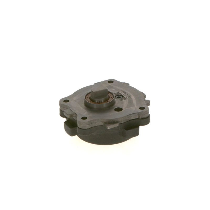 Bosch Fuel Pump Assembly