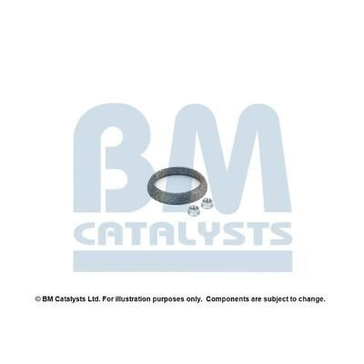 BM Catalysts Fitting Kit FK80157B FK80157B