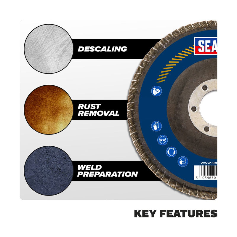 Sealey 115mm Aluminium Oxide Flap Discs 40Grit 22mm Bore - Pack of 10 FD11540E10 Sealey - Dynamic Drive