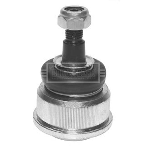 Borg & Beck Ball Joint outer BBJ5434