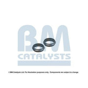 BM Catalysts Fitting Kit FK90974A FK90974A